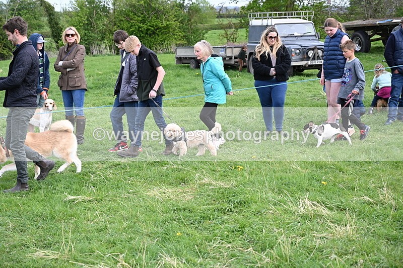 WJ6_8503 - Class 6 Best Rescue