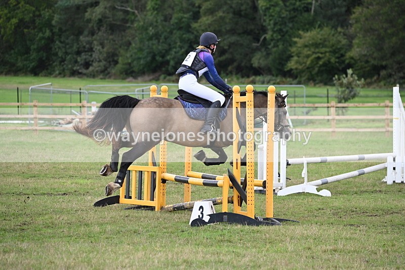 WJ6_1639 - 60cm Time 12:11 to 12:28