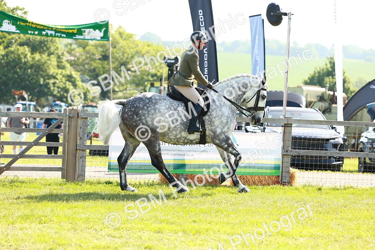SBM_11798 - Class 66-69 - RIHS Ridden Hunters Inc Small Hunter