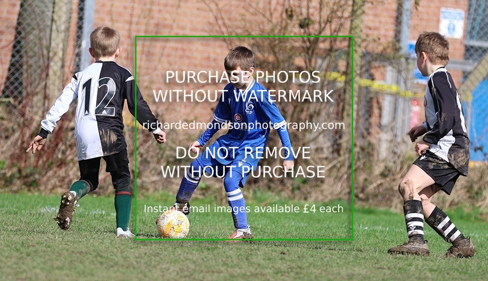 533A8212 - Ibis Under 8's (14/3/26)