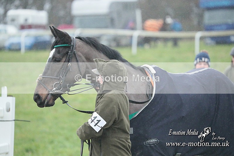 PtP 101223 174 - New Forest Hounds PtP Larkhill 10/12/23