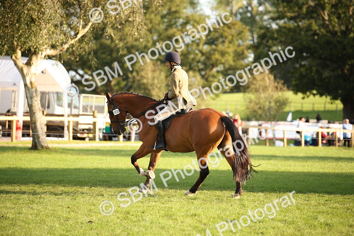 SBM_54411 - S27 - Mature Veteran - Ridden
