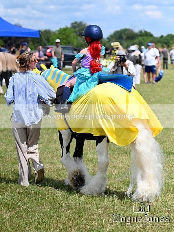 WJ7_7931 - Nancy And Churchill SORC summer show 21-06-26