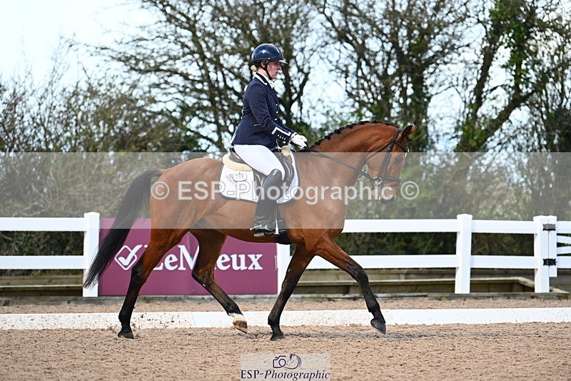 240323A-111251-02548 - DR Novice 24