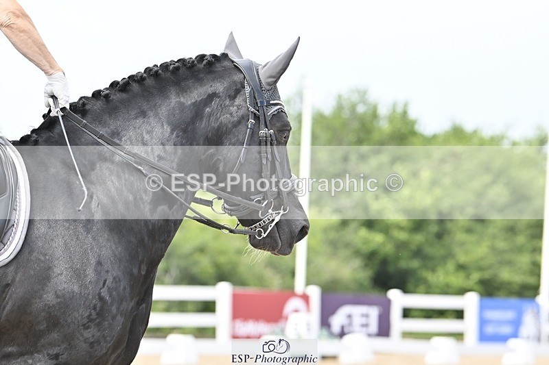 250621-141655-10584 - Cls 29 - Elementary 5, 14.10 to End