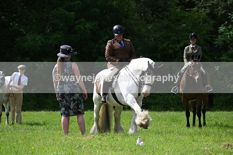 WJ7_1352 - Class 11 Condition & Turnout