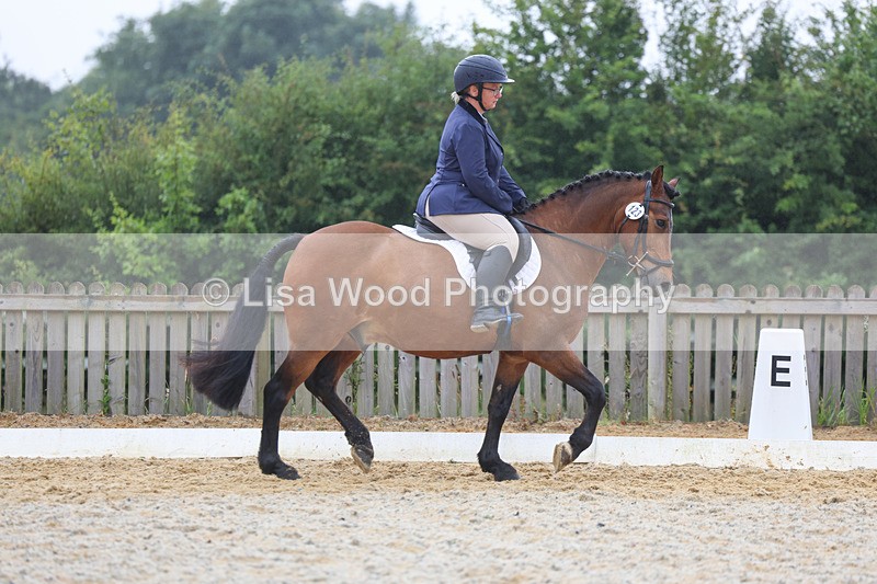 3E7A8500 - Class 2: Intro 3 2024 section B