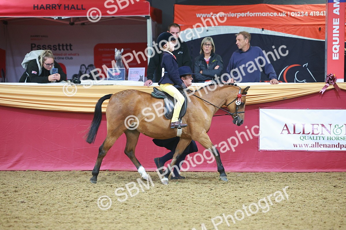 SBM_09664 - Class 102 - HOYS Veteran Qualifier - Ridden Veteran