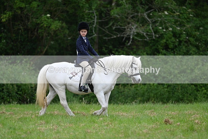 WJ7_4376 - Class 14B Prettiest Mare