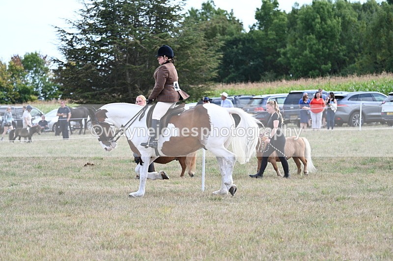 WJ7_7004 - Class 14 Ridden Coloured