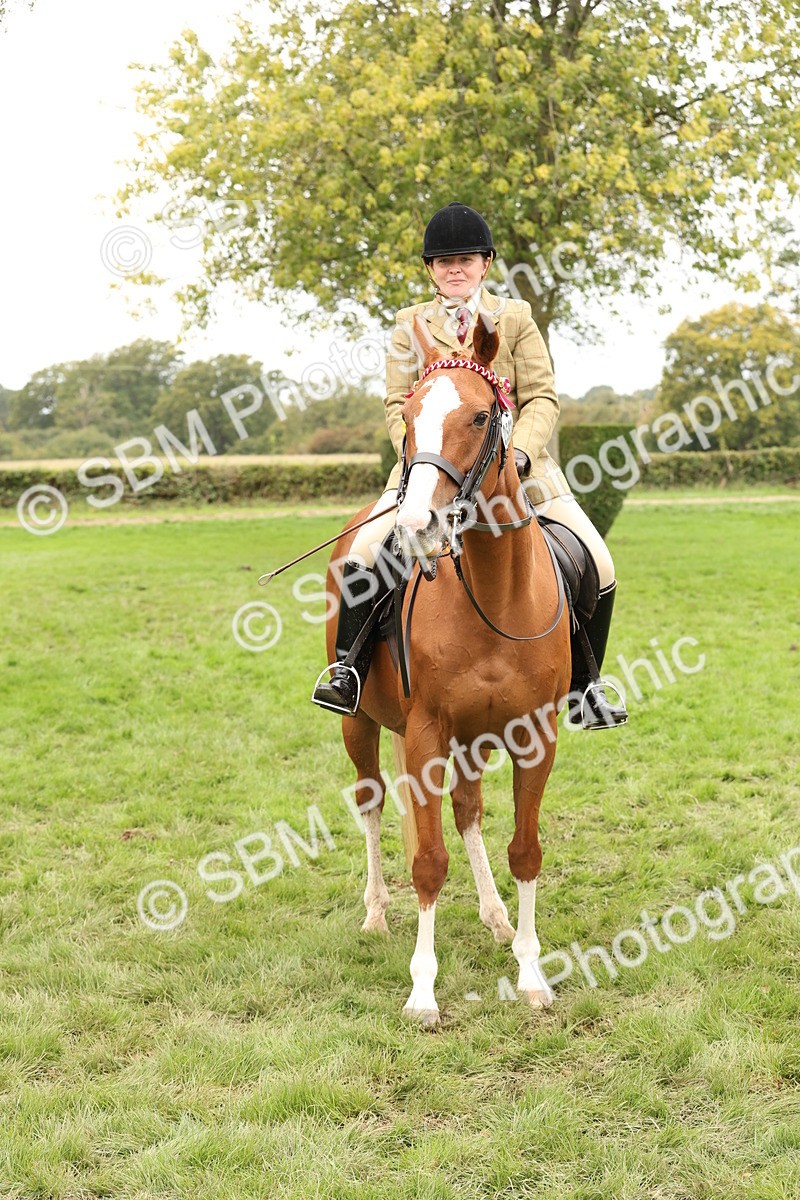 SBM_64348 - S65 - Riding Horse & Hack & Thoroughbred Ridden