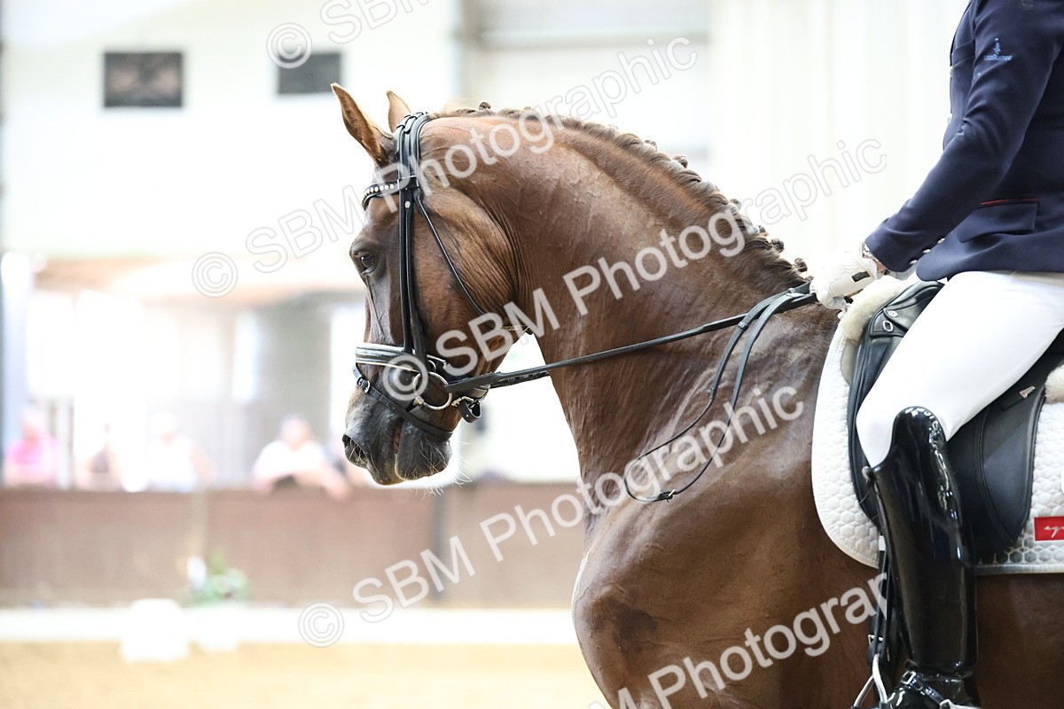 SBM_002776 - Class 5 - Novice 6 Gold - 10.24-11.30