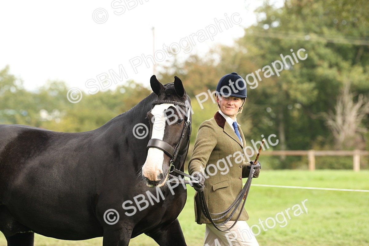 SBM_57479 - S56 - Show Cob in Hand