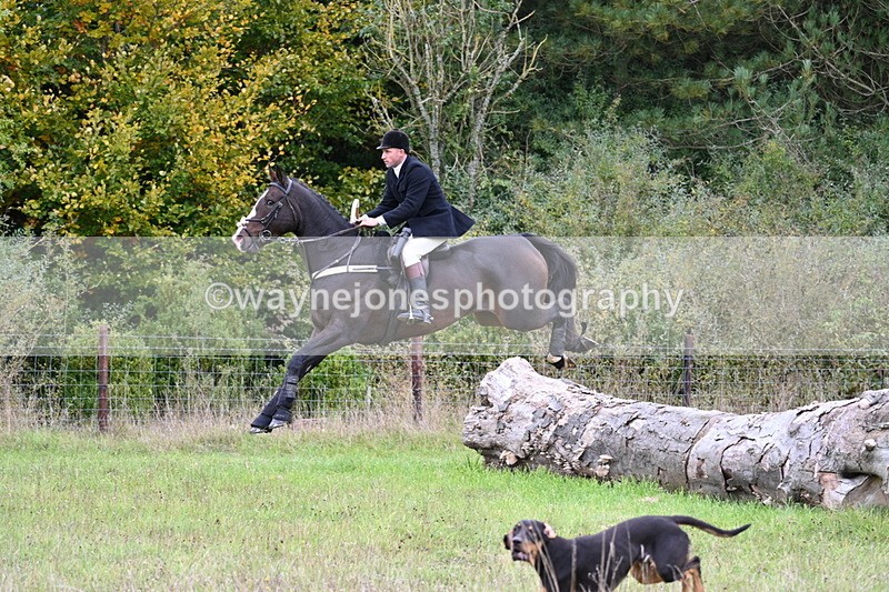 WJ7_3596 - Camera 1 Line 1