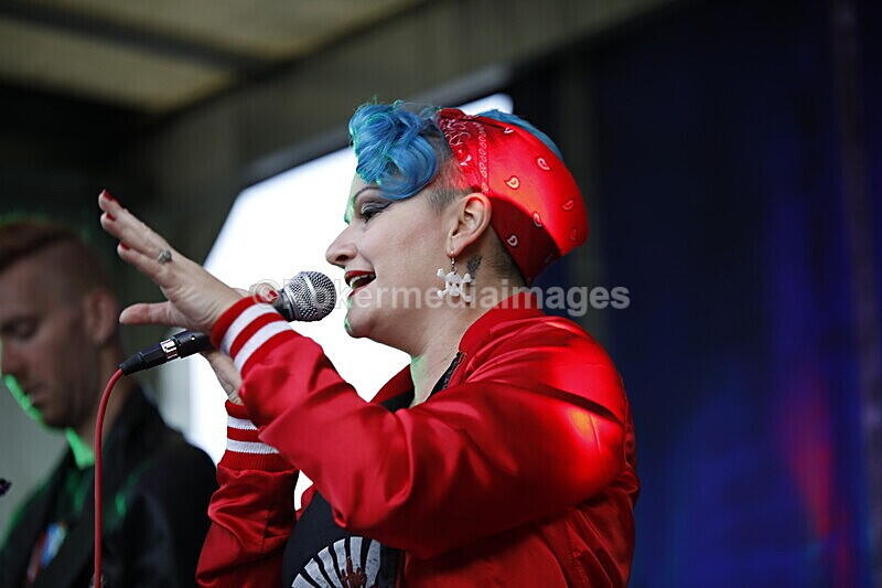  - ELMSTOCK 2019 the music makers