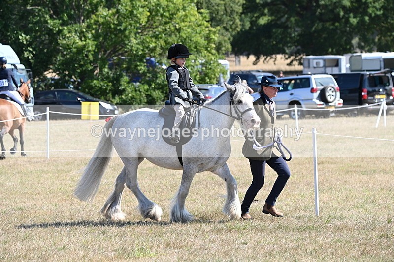 WJ6_7808 - Class 36 Lead Rein