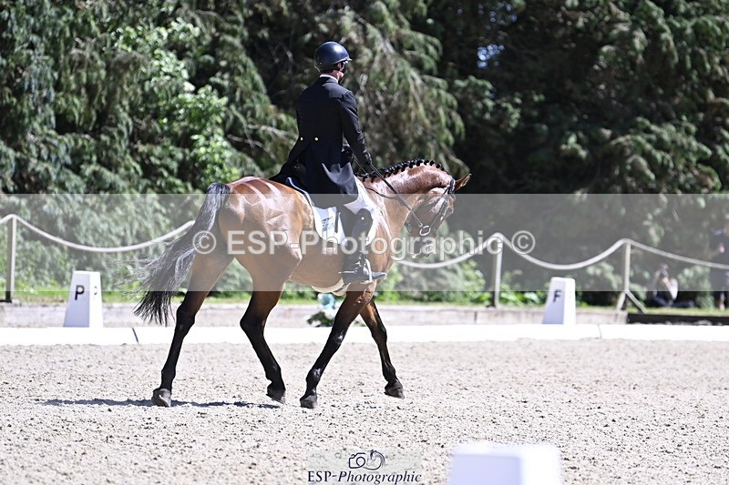 250522A-150757-03791 - D-414-Rupert.Batting-COOMBELAND.SEMILLY