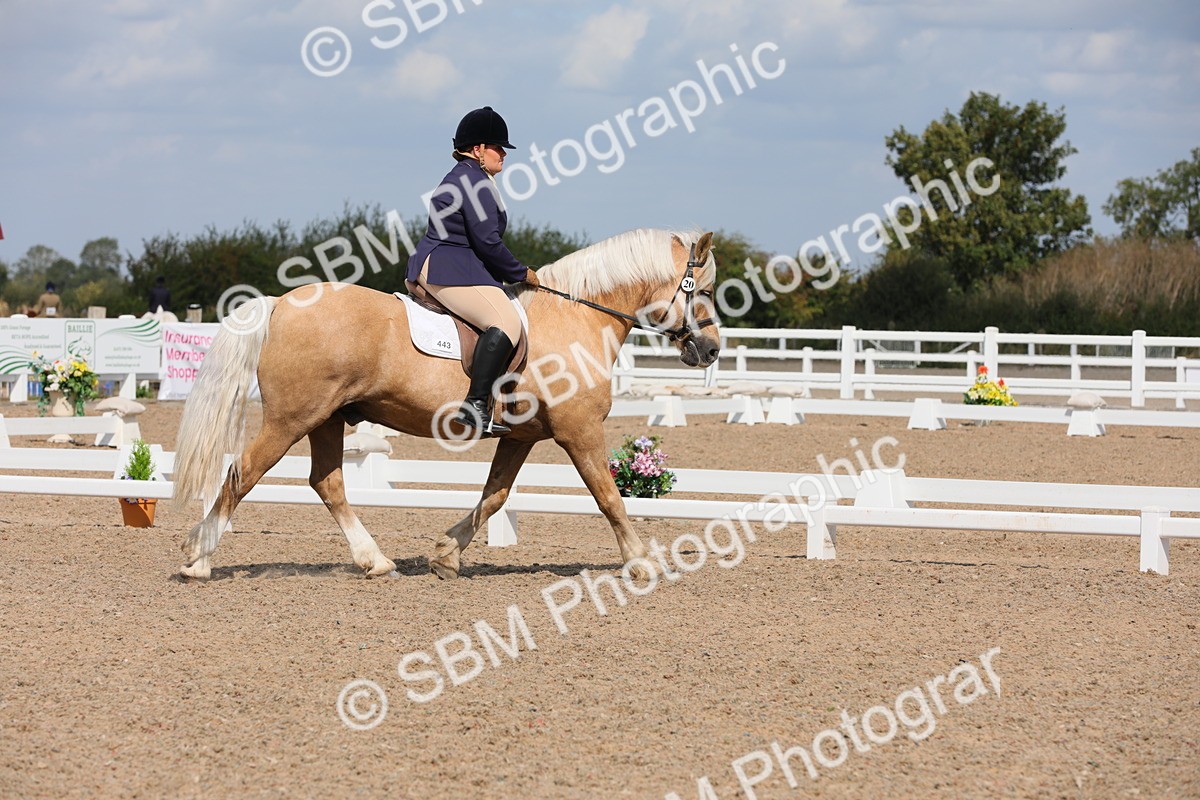 SBM_04023 - Class 31 Prelim 1