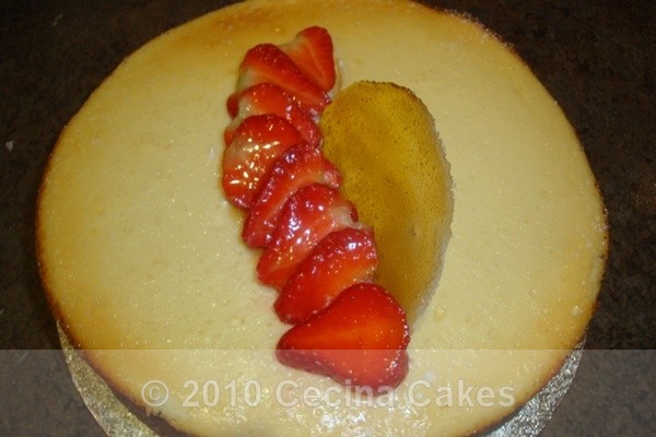 Old fashioned Vanilla - Luxury Baked Cheesecakes