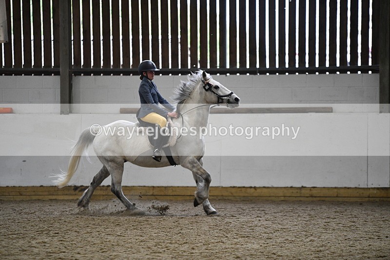 WJ5_7917 - Class 13 Ridden Part Breed