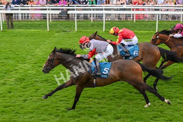 270724-Race 5-Theme Park-7428 - Race 5 4.35pm Sky Bet Prize Drop Handicap