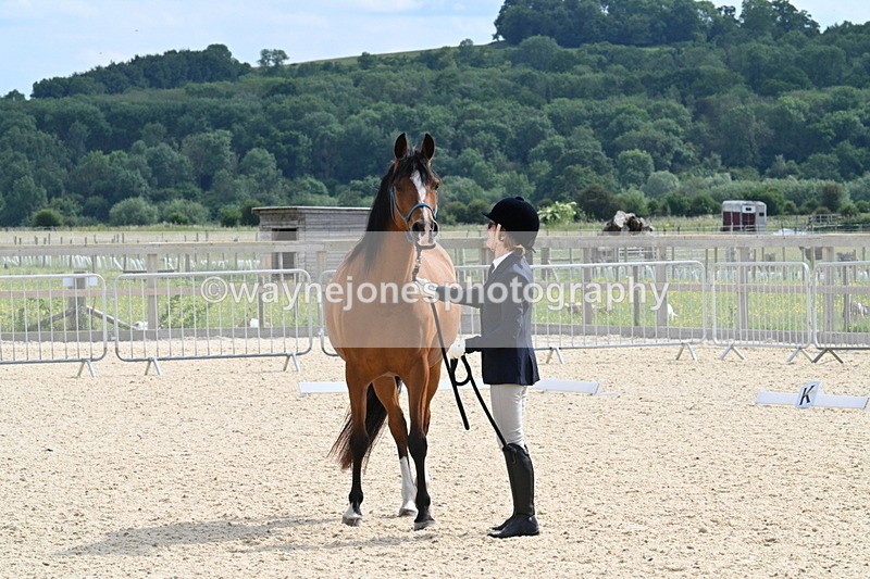 WJ7_8152 - Time 16:10 to 16:25