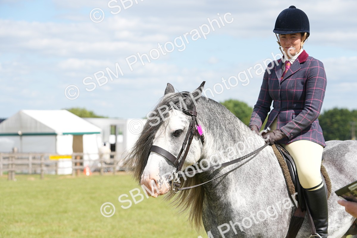 SBM_17300 - Class 107-108 - LIHS BSPS Performance Coloured Horse Pony