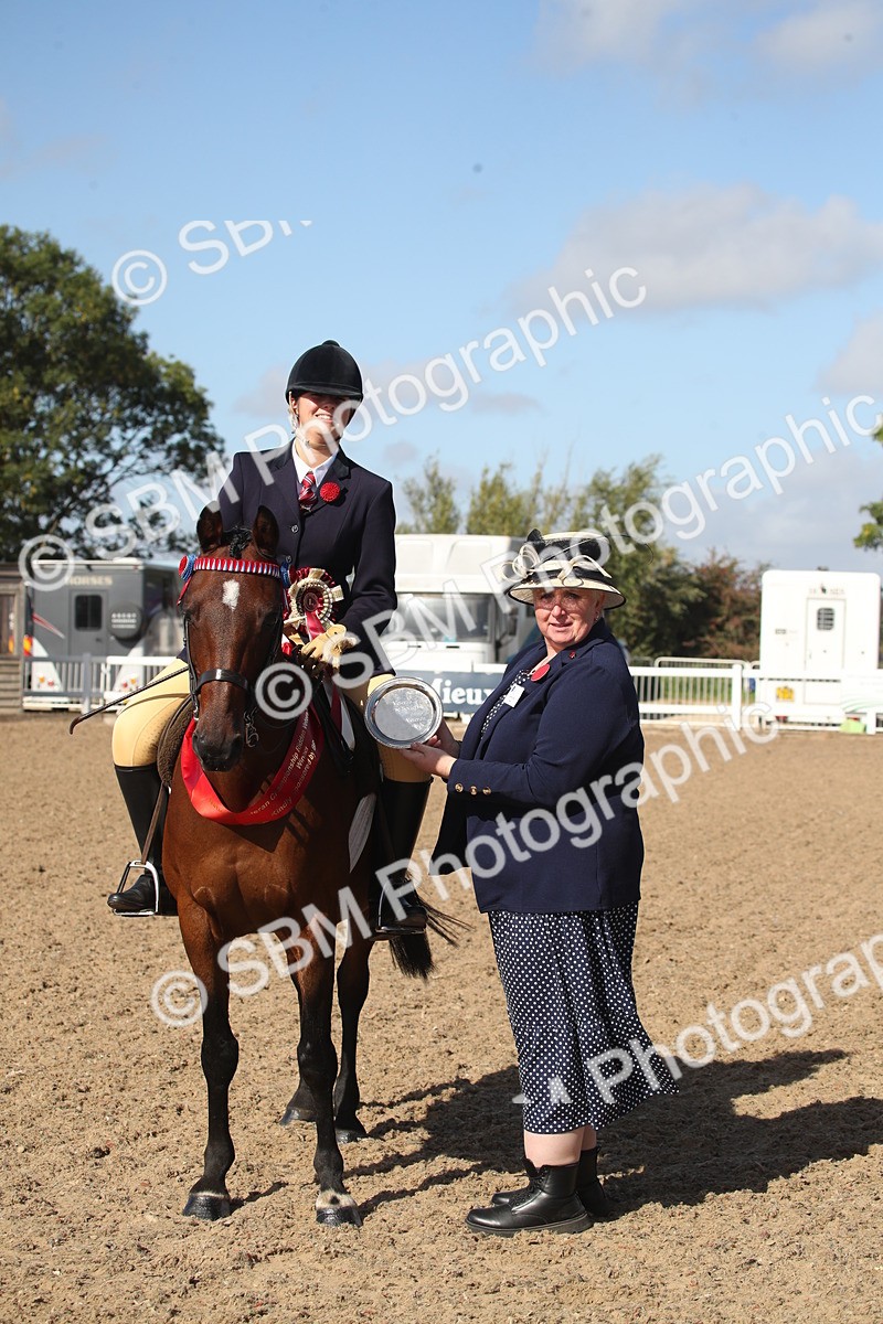 SBM_22849 - Class 602 - 2026 Area - Ridden Veteran