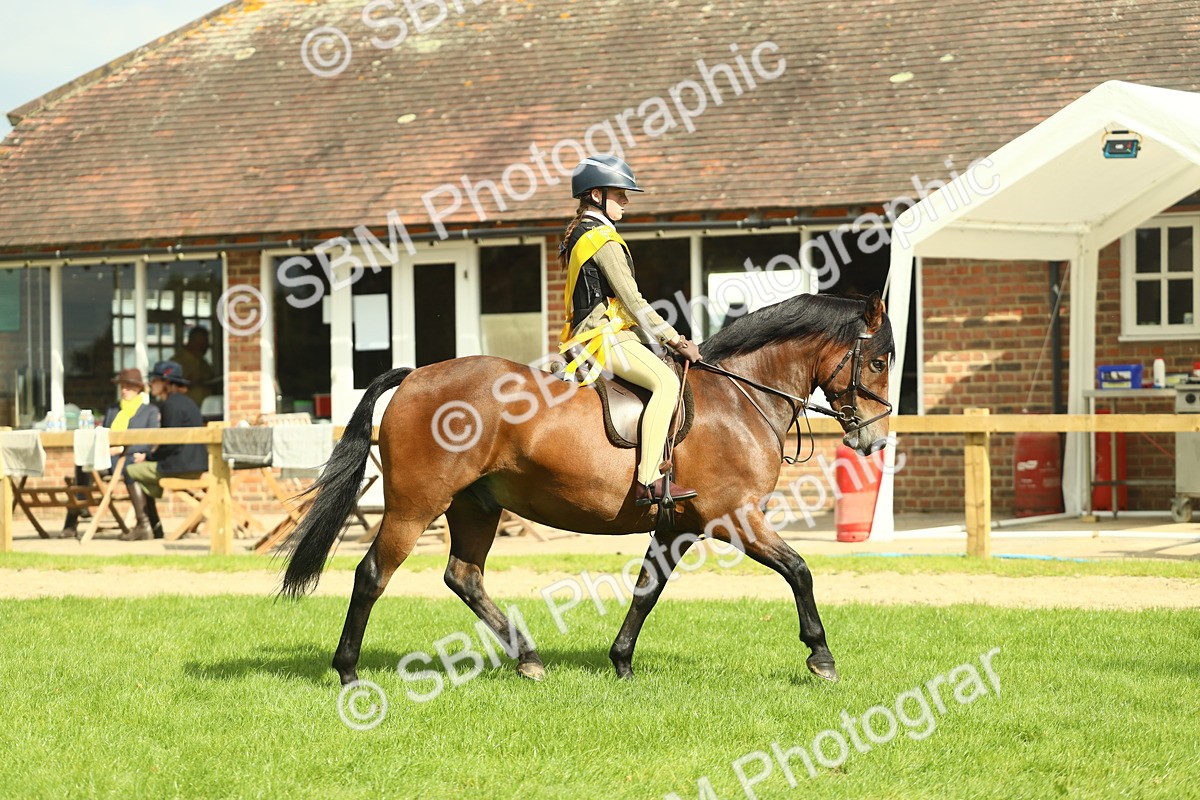 SBM_44896 - Working Hunter Pony Supreme Championship