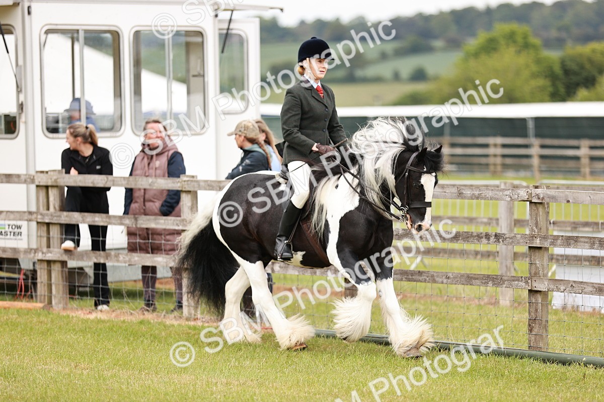 SBM_06129 - Class 39-41 TGCA In Hand and Ridden