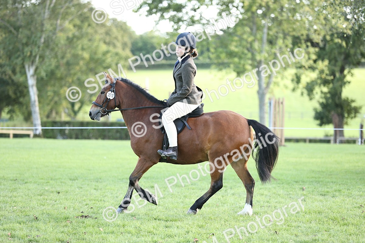 SBM_29563 - S7 - Novice & Newcomers Ridden Pony