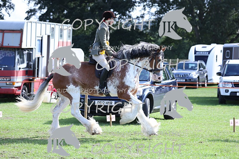 APP_3774 - Class 8 Ridden Class