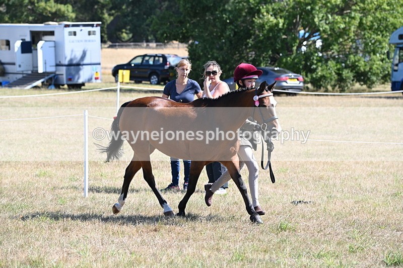 WJ6_4728 - Class 17 Mountain & Moorland