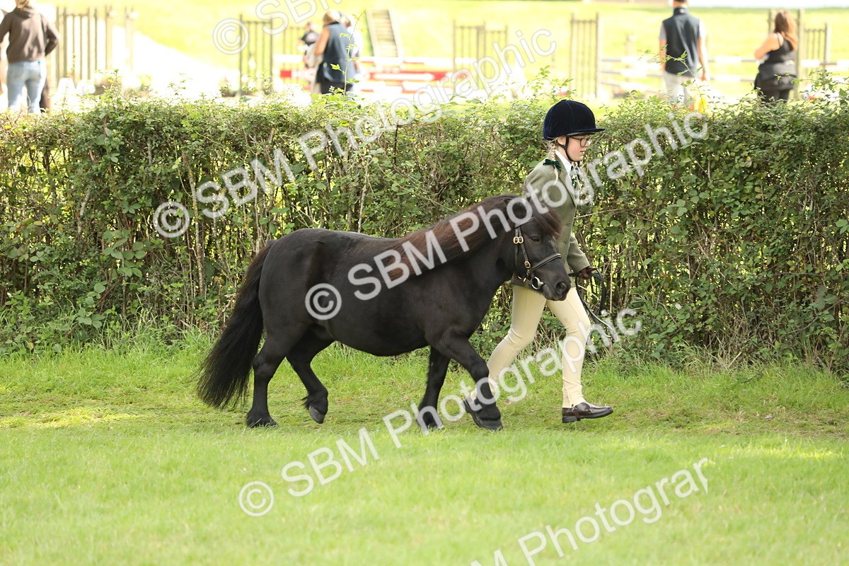 SBM_62761 - S46 - Mountain & Moorland In Hand Small Breeds