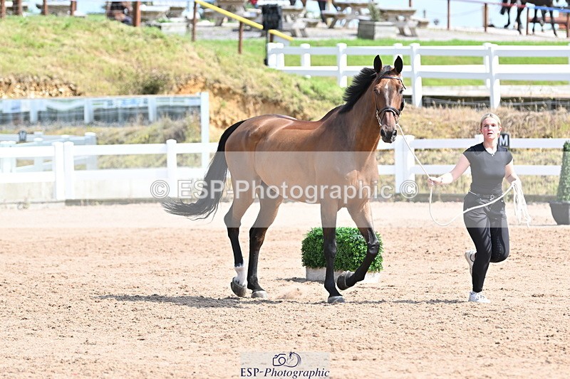 240717A-154510-03035 - Trot Up 3pm to 4pm