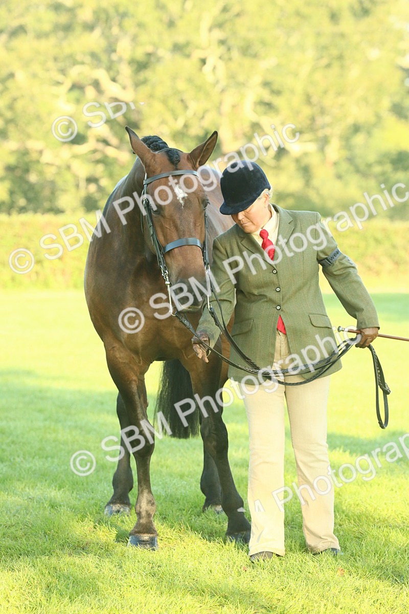 SBM_56671 - S36 - Starters Best Turnout