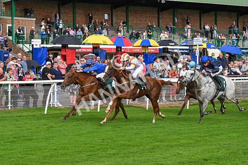 280824-Race 5-Hidden Pearl-4783 - Race 5