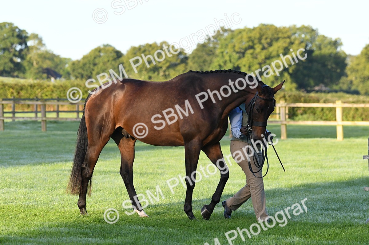 SBM_32463 - S15 - Condition & Turnout In Hand