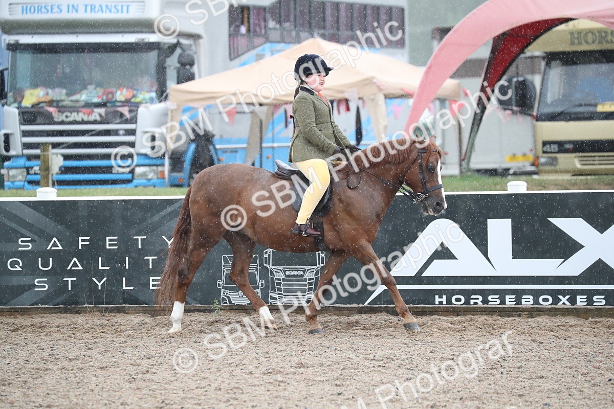 SBM_20426 - Class 601 - 2025 Area - Ridden Diamond