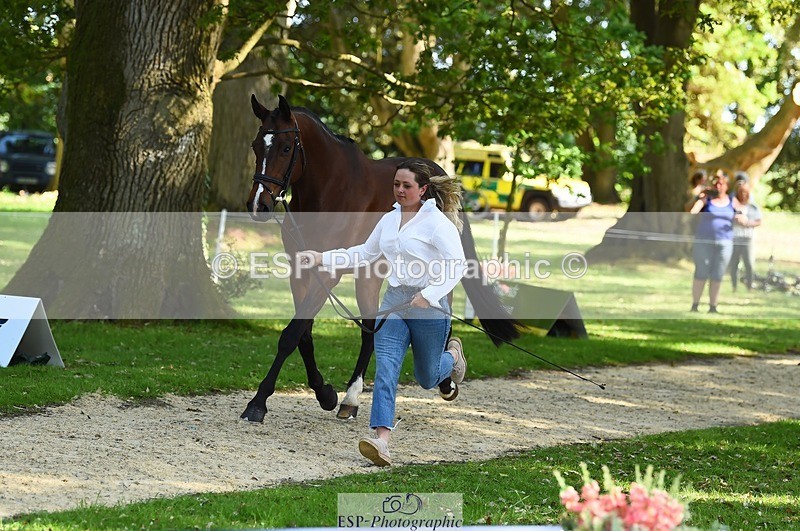 230524-162438-00852 - 101-INTERFIELDS_ABOUDDI-Saffron_Cresswell-WEDTrotUp+DR