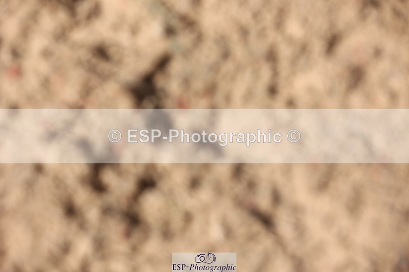 240629A-165536-08195 - Cls 13 Stepping Stones 128cm + 138cm