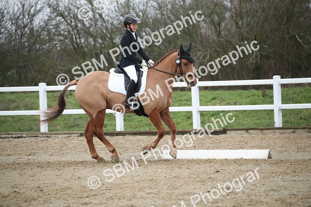 SBM_004780 - Novice 3