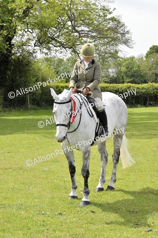 20260426-3698 - Class 22 - Working Hunter