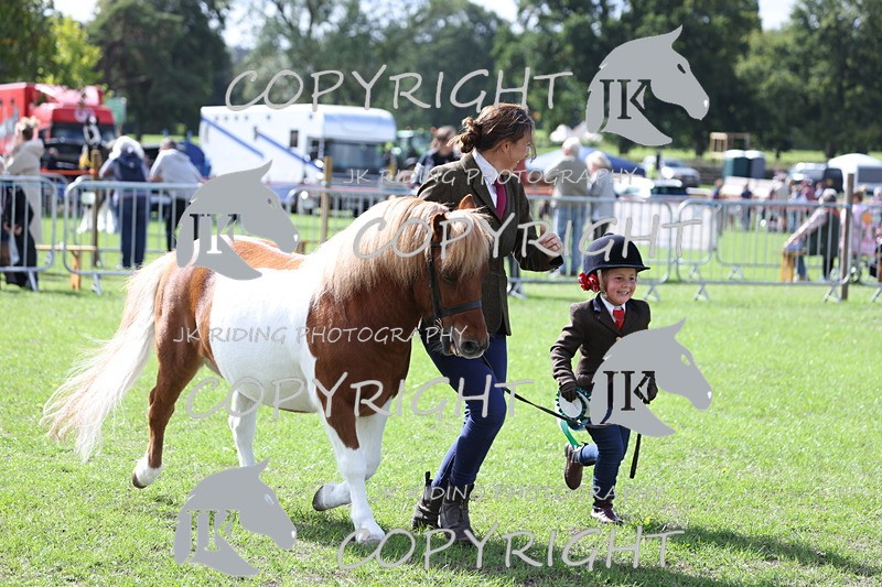 APP_3003 - Class 10a/b M&M in hand