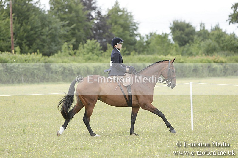 BVR160717-2357 - Side Saddle Classes 16/07/17