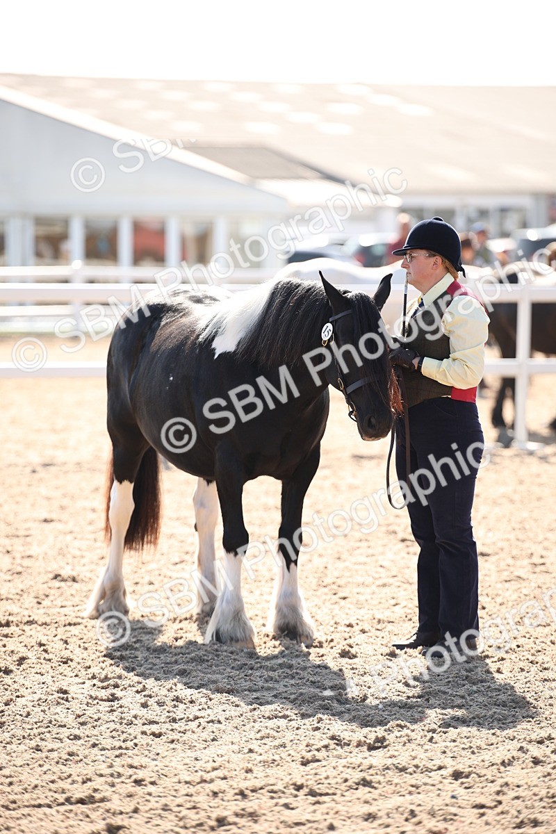 SBM_01548 - Class 15 IH Coloured