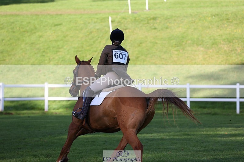 231022-111528-25057 - 607-RICO.III-Alison.Stewart-TrotUp+SJ