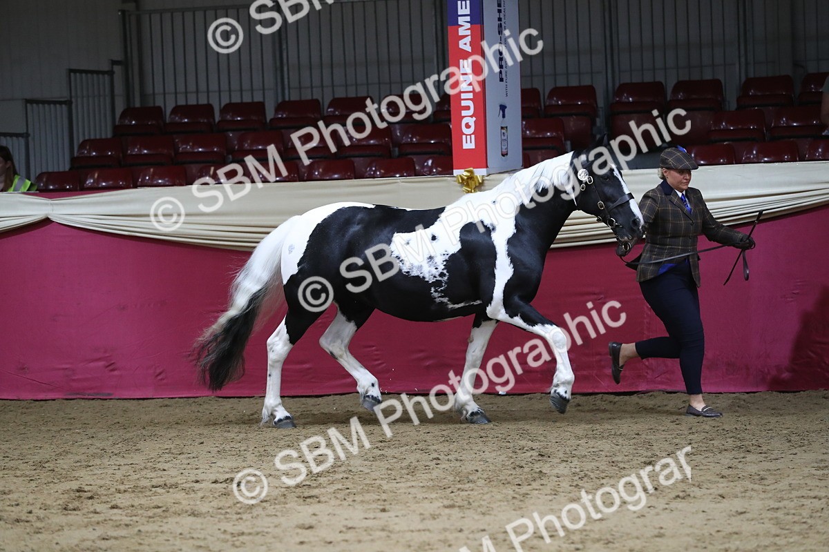 SBM_06307 - Class 9R Regional- IH Pre Vet