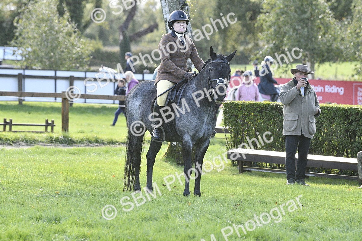 SBM_38161 - S31 - Novice & Newcomer Working Hunter Pony