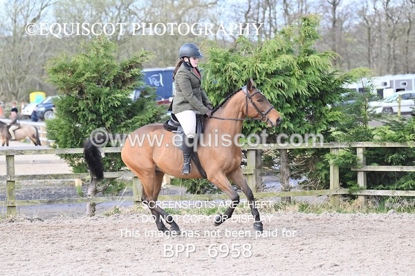 BPP_6958 - RING 1  (RIDDEN HORSES / IN HAND / VETERAN ETC)
